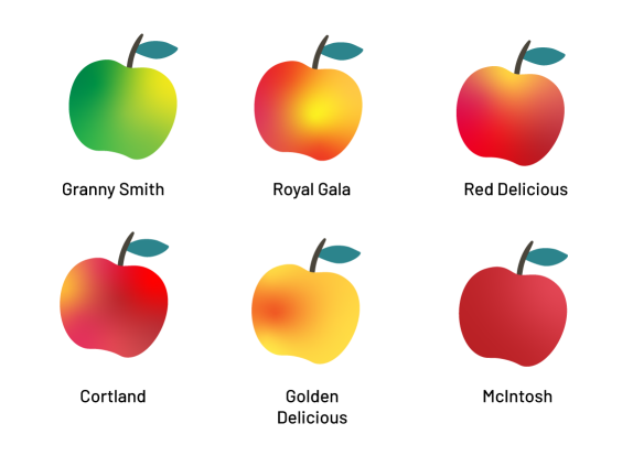 Six sortes de pommes différentes : une granny smith, une royal gala, une red delicious, une cortland, une golden delicious et une mcIntosh.