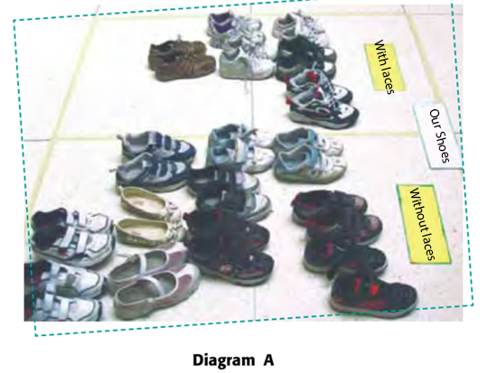 Concrete diagram with the title Our Shoes, showing two categories: With laces and Without laces. The first one has 6 pairs of shoes and the second one has 11 pairs.