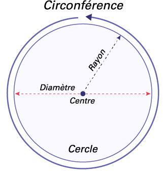 Un cercle où on a indiqué : Le rayon, qui part du centre jusqu’au bord du cercle. Le diamètre, qui part du bord du cercle et le traverse en passant par le centre. La circonférence qui est le contour total du cercle.